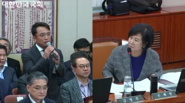 ▲ 손혜원 의원의 질의에 답하는 엔씨소프트 김택진 대표(출처 : 국회 국정감사 생중계)