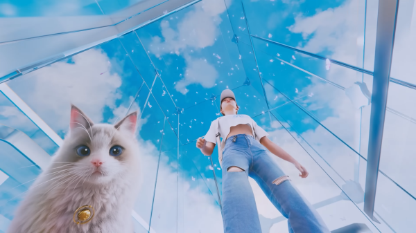 고양이 상사와 함께 고층 사무실로 이동