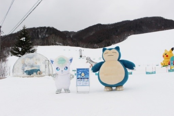 취재진을 맞이해준 아로라로콘과 카비곤