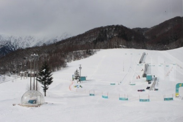 오른쪽 안쪽의 그물망으로 구분되어 있는 지역이 '포켓몬 스노우 어드벤처'. 스키뿐만 아니라 썰매 등도 탈 수 있다