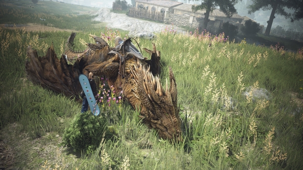 호각 소리로 부르면 바로 탑승할 수 있다. 호출 후 30초 이내에 탑승하지 않거나, 탑승 후에도 이동하지 않고 대기하면 드래곤이 날아간다