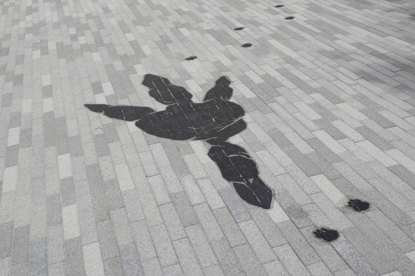 XD HALL로 향하는 몬스터의 발자국!