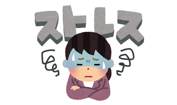 (사진 출처) 이라스토야