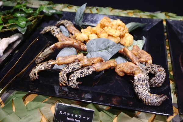 스네이크가 먹는 야생동물 요리. '악어의 프릿'은 닭고기처럼 상쾌한 맛으로, 설명이 없으면 악어라는 걸 알아차리지 못할 수도 있다. '악어 날개의 그릴'은 적당히 기름이 올라 있고, 소금이 잘 배어 있다.