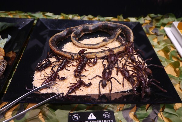 '뱀의 통구이'는 닭고기 같은 맛이다. '전갈의 통튀김'은 바삭바삭하고 고소한 식감으로, 배 부분에 독특한 쓴맛이 있다. '타란툴라의 통튀김'은 다리가 의외로 새우 같은 맛이 나며, 배 부분에 역시 특유의 쓴맛이 있어, 취향에 맞는 사람은 중독될 것 같다. 또한, '개구리 다리의 콘피'도 준비되었지만, 사진 게재는 자제하고 싶다.